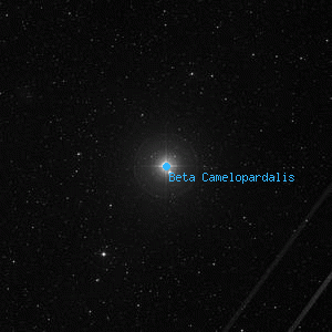 DSS image of Beta Camelopardalis