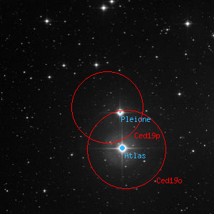 DSS image of Ced19p