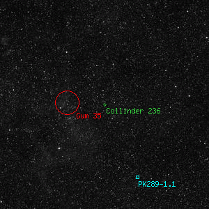 DSS image of Collinder 236
