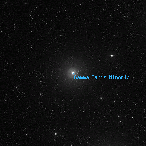 DSS image of Gamma Canis Minoris