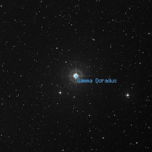 DSS image of Gamma Doradus