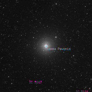 DSS image of Gamma Pavonis