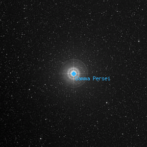 DSS image of Gamma Persei