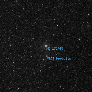 DSS image of HD 175743