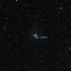 DSS image of HD 23838