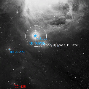 DSS image of HD 36959