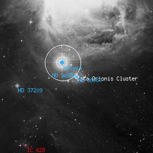 DSS image of HD 36960