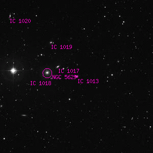 DSS image of IC 1013