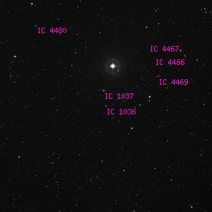 DSS image of IC 1036