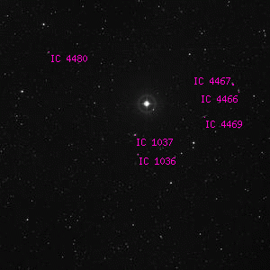 DSS image of IC 1037
