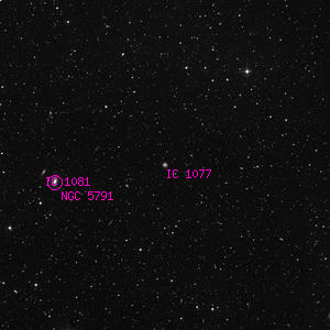 DSS image of IC 1077