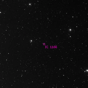 DSS image of IC 1166