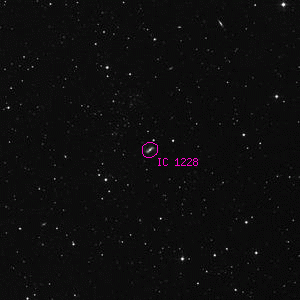 DSS image of IC 1228