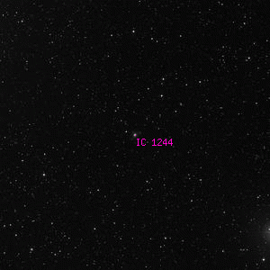 DSS image of IC 1244