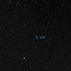 DSS image of IC 1247