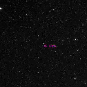DSS image of IC 1256