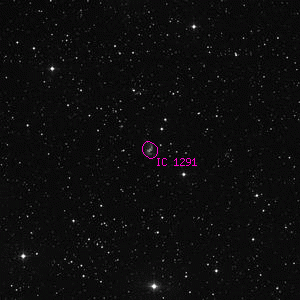 DSS image of IC 1291