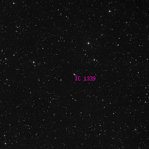 DSS image of IC 1339