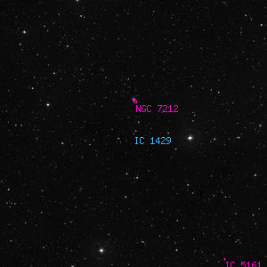 DSS image of IC 1429