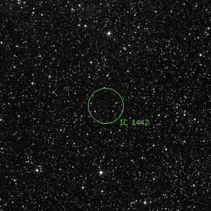 DSS image of IC 1442
