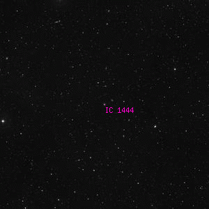 DSS image of IC 1444