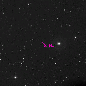 DSS image of IC 1614