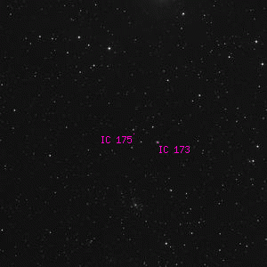 DSS image of IC 175