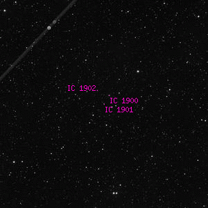 DSS image of IC 1901