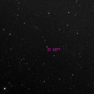 DSS image of IC 1977