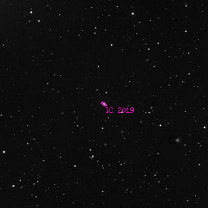 DSS image of IC 2019
