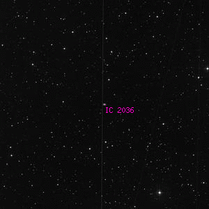 DSS image of IC 2036