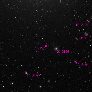 DSS image of IC 2197