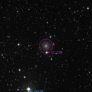 DSS image of IC 239