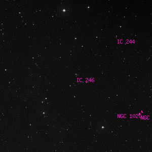 DSS image of IC 246