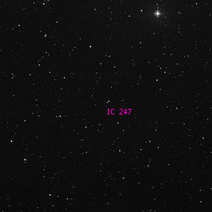 DSS image of IC 247