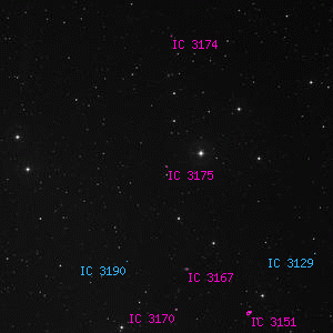 DSS image of IC 3175