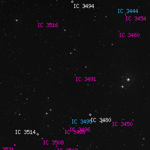 DSS image of IC 3491