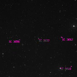 DSS image of IC 3637