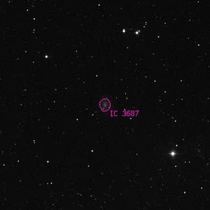 DSS image of IC 3687