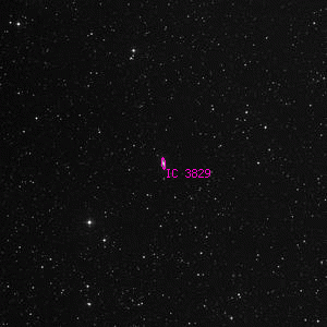 DSS image of IC 3829