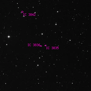 DSS image of IC 3835
