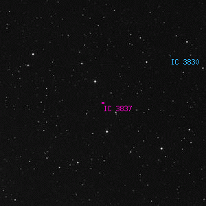 DSS image of IC 3837