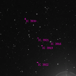 DSS image of IC 3921