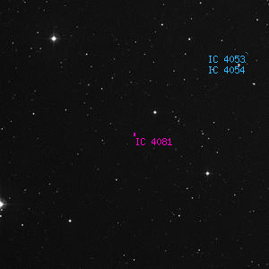 DSS image of IC 4081