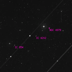 DSS image of IC 4202