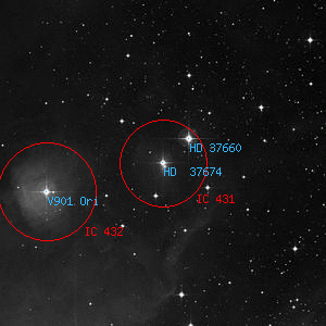 DSS image of IC 431