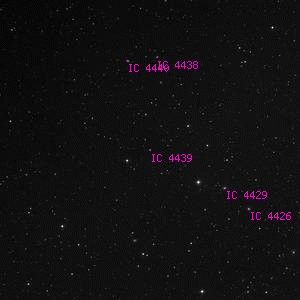 DSS image of IC 4439