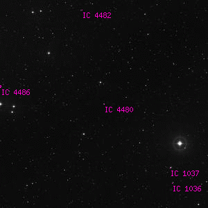 DSS image of IC 4480