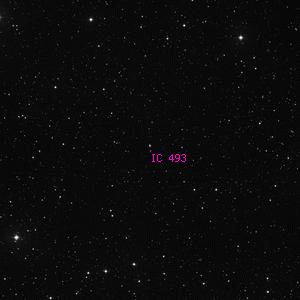 DSS image of IC 493