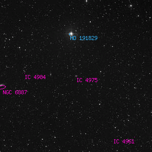 DSS image of IC 4975